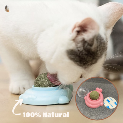 WhirlPurr™ Rotating Catnip Toy