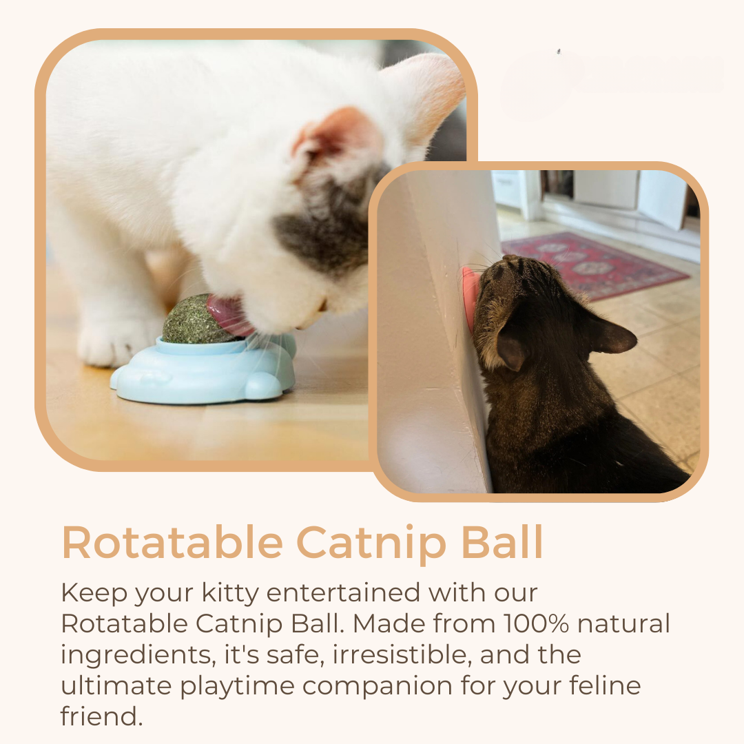 WhirlPurr™ Rotating Catnip Toy